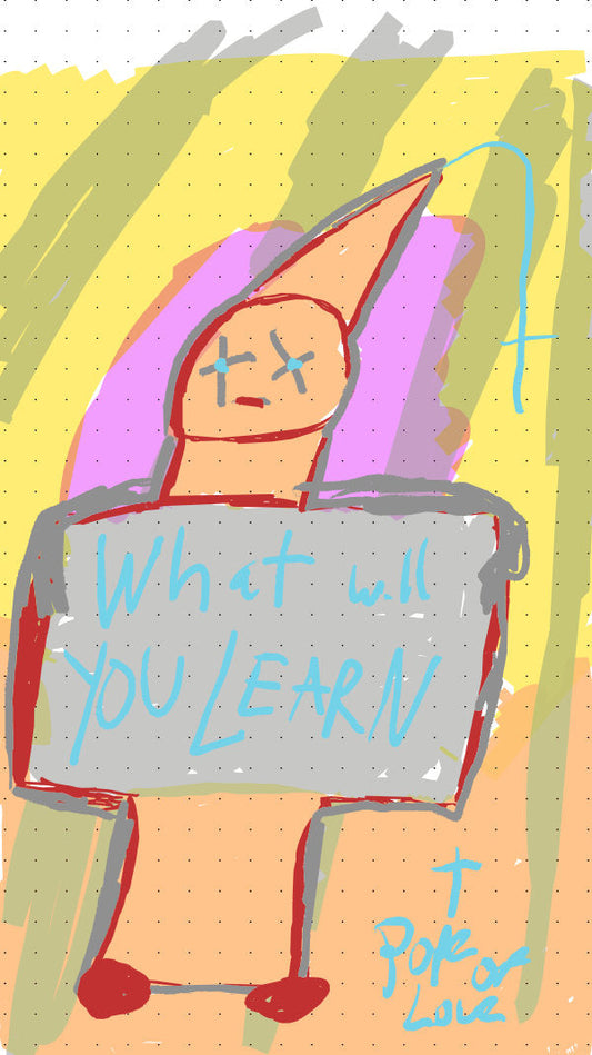 What have we learned?